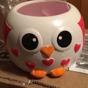 Owl Flower Pot